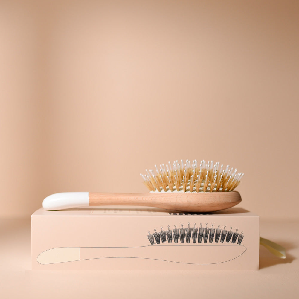 Brosse à cheveux Bachca grand format, spéciale démêlage et brillance, posée sur sa boîte avec illustration, en bois de hêtre naturel avec poils mixtes et picots souples, sur fond beige.