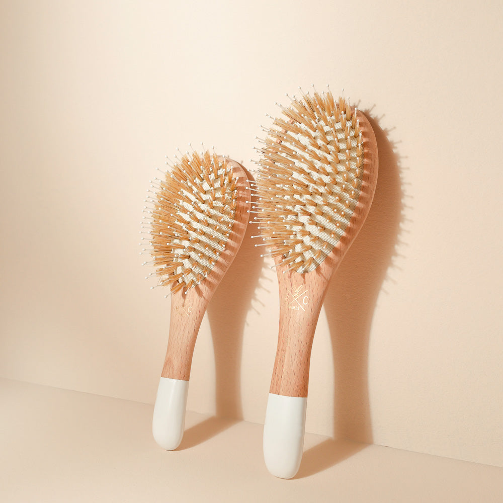 Grand et petit modèle de brosses Bachca démêlage & brillance, en bois de hêtre et poils de sanglier avec picots nylon, posées côte à côte.