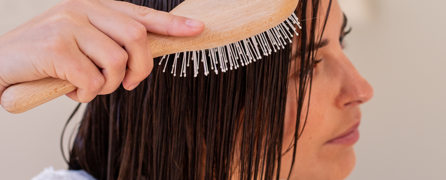 Quelle brosse choisir pour des cheveux gras ? – Bachca, image size:1500x606