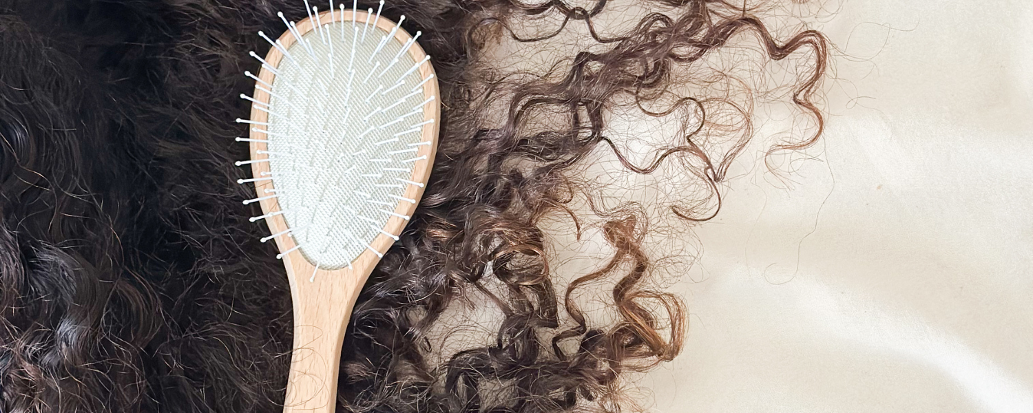 Brosse à cheveux Bachca avec des picots en nylon banc disposée sur une chevelure brune bouclée.