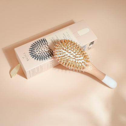 Brosse à cheveux Bachca petit format pour démêlage et brillance, en bois de hêtre et poils mixtes, posée sur sa boîte beige illustrée, sur fond sable.
